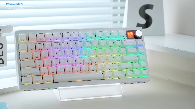 Amazon.com: Womier 75% Wireless Mechanical Gaming Keyboard with